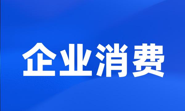 企业消费