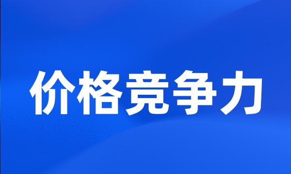 价格竞争力