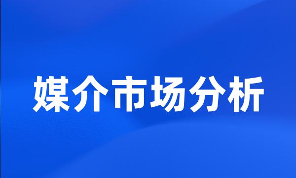 媒介市场分析