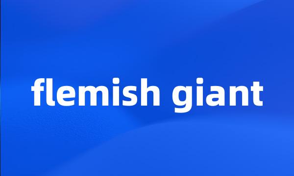 flemish giant