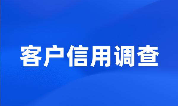 客户信用调查