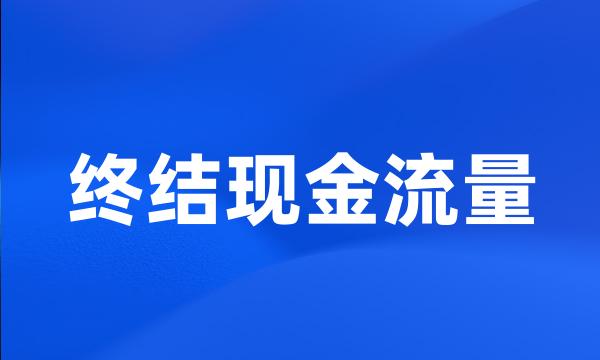 终结现金流量