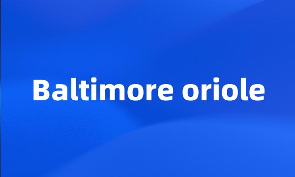 Baltimore oriole