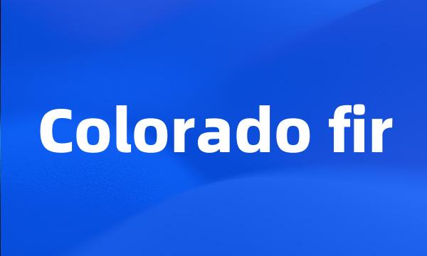 Colorado fir