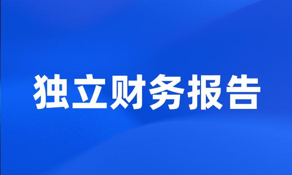 独立财务报告