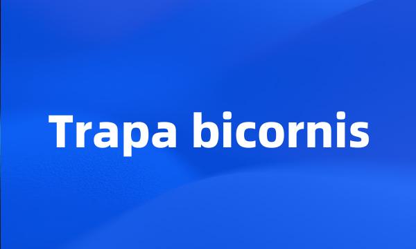 Trapa bicornis