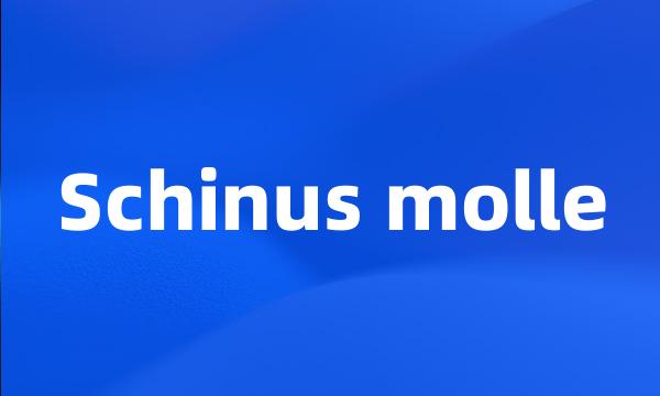 Schinus molle