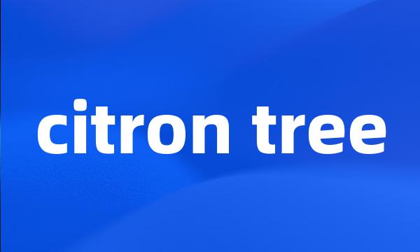 citron tree