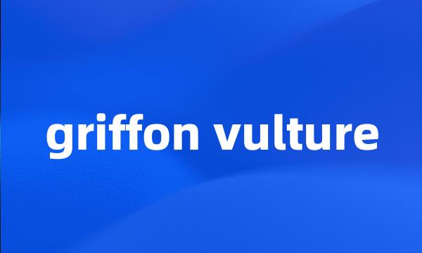 griffon vulture