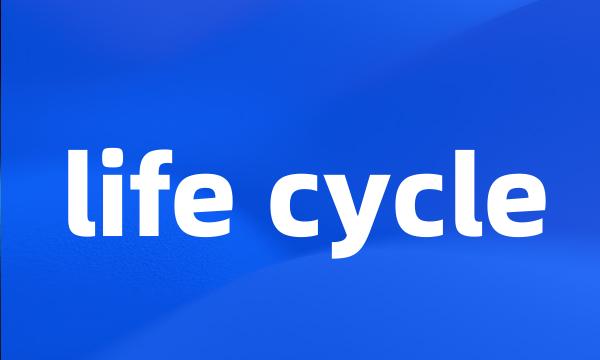 life cycle