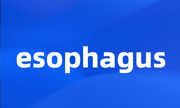 esophagus