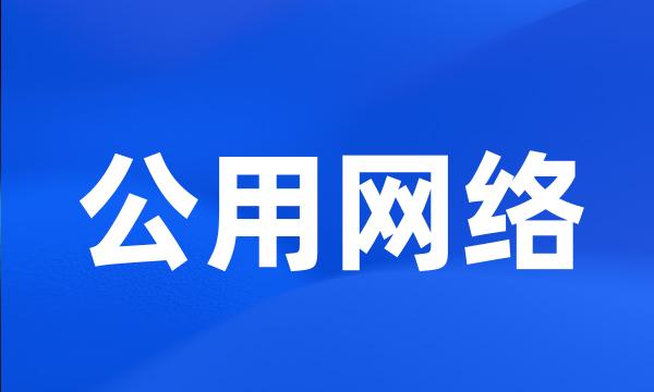 公用网络