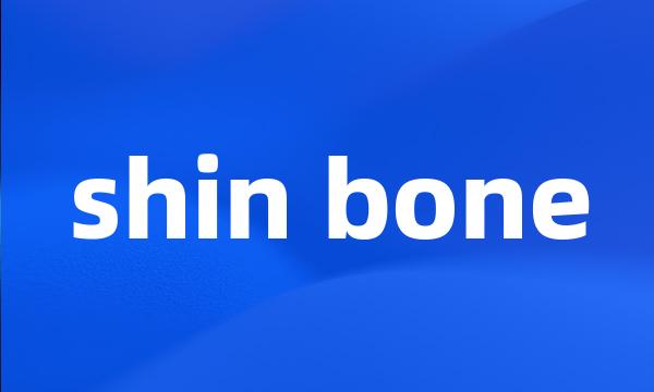 shin bone