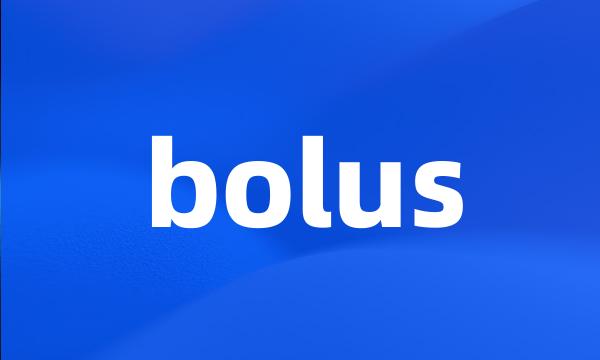 bolus