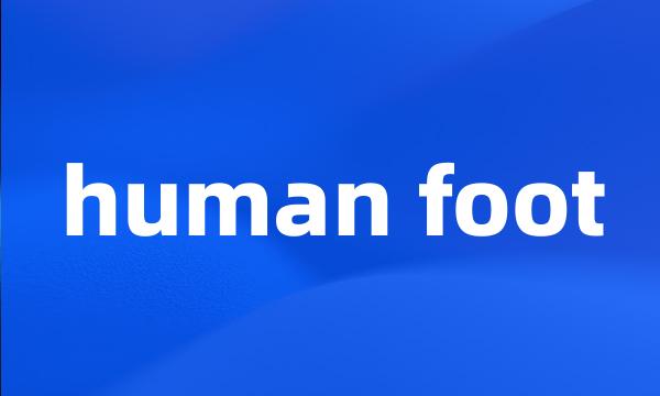 human foot