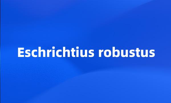 Eschrichtius robustus