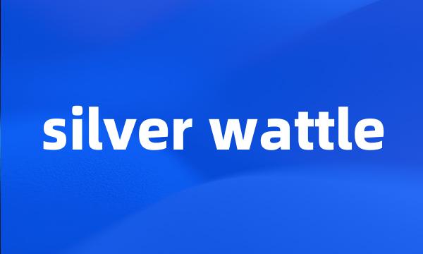 silver wattle