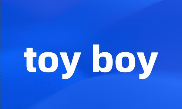 toy boy