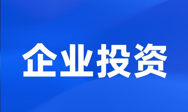 企业投资