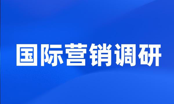 国际营销调研