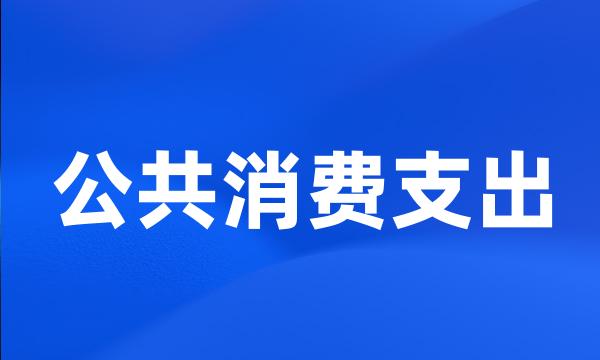 公共消费支出