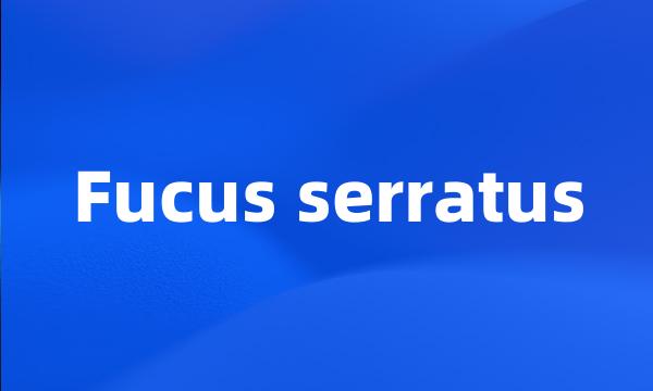 Fucus serratus