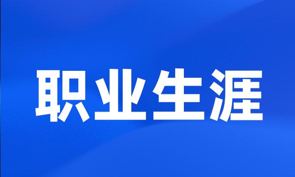 职业生涯