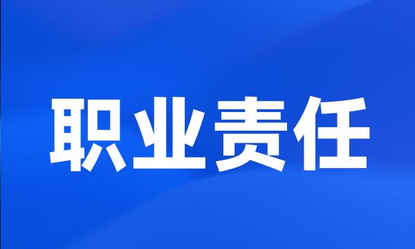 职业责任