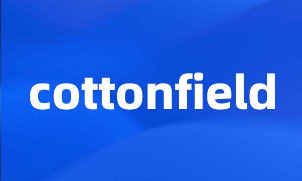 cottonfield