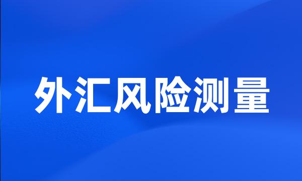 外汇风险测量