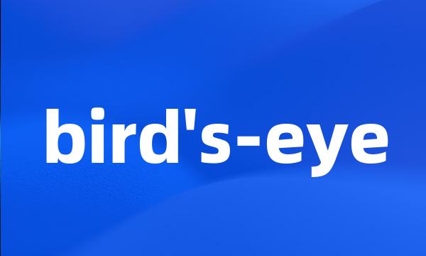 bird's-eye