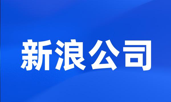 新浪公司