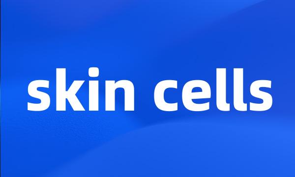 skin cells