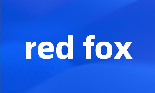 red fox