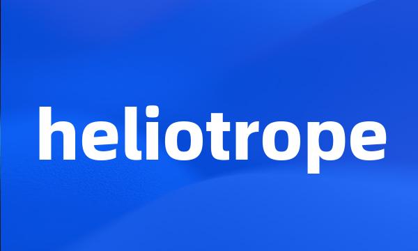 heliotrope