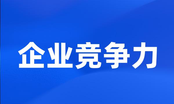 企业竞争力