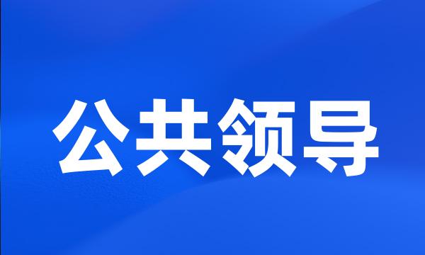 公共领导