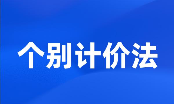 个别计价法