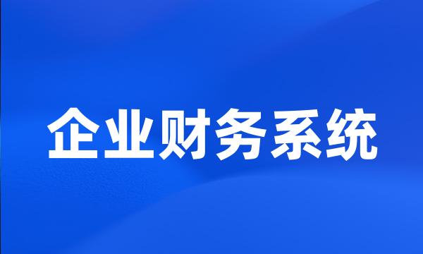 企业财务系统