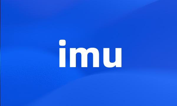 imu