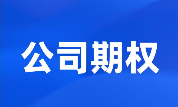 公司期权