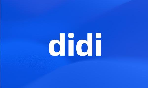 didi