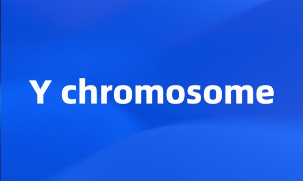 Y chromosome