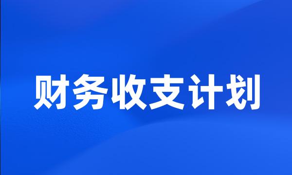 财务收支计划