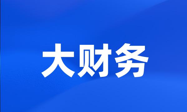 大财务