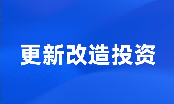 更新改造投资