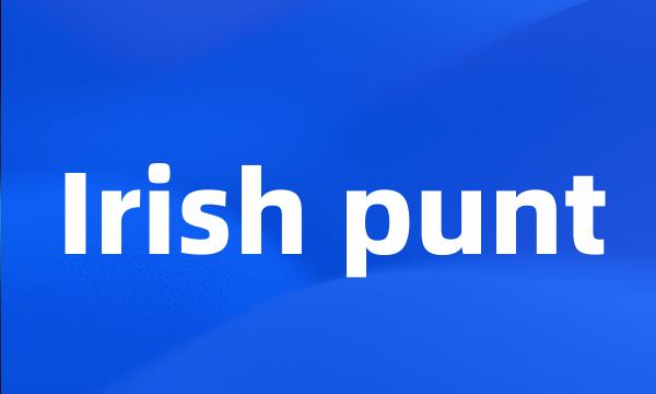 Irish punt