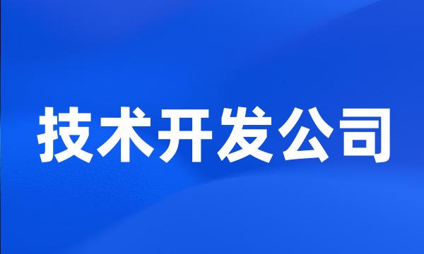 技术开发公司