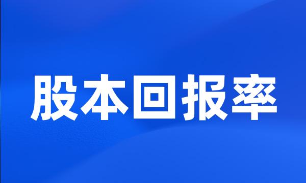 股本回报率