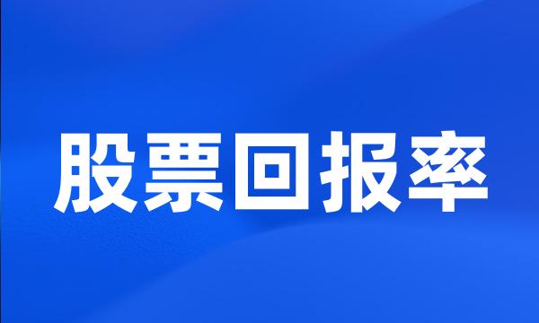 股票回报率